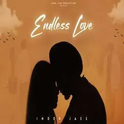 Endless Love Poster