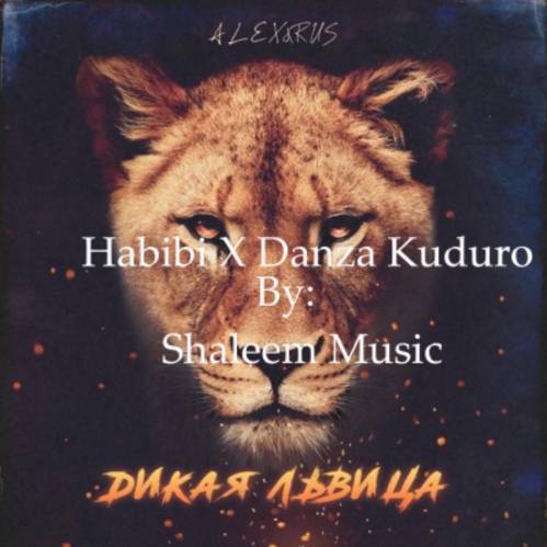 Habibi X Danza Kuduro Poster