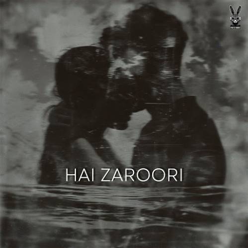 Hai Zaroori Poster